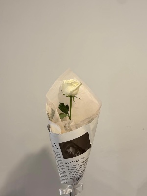ყვავილები