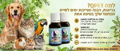 QPET 15 מ״ל